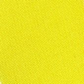 Color Fun Translucent Roller Blind