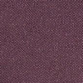 Color Fun Translucent Roller Blind