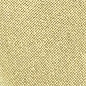 Color Fun Translucent Roller Blind