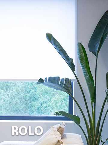roller blinds