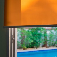 Color Fun Translucent Roller Blind