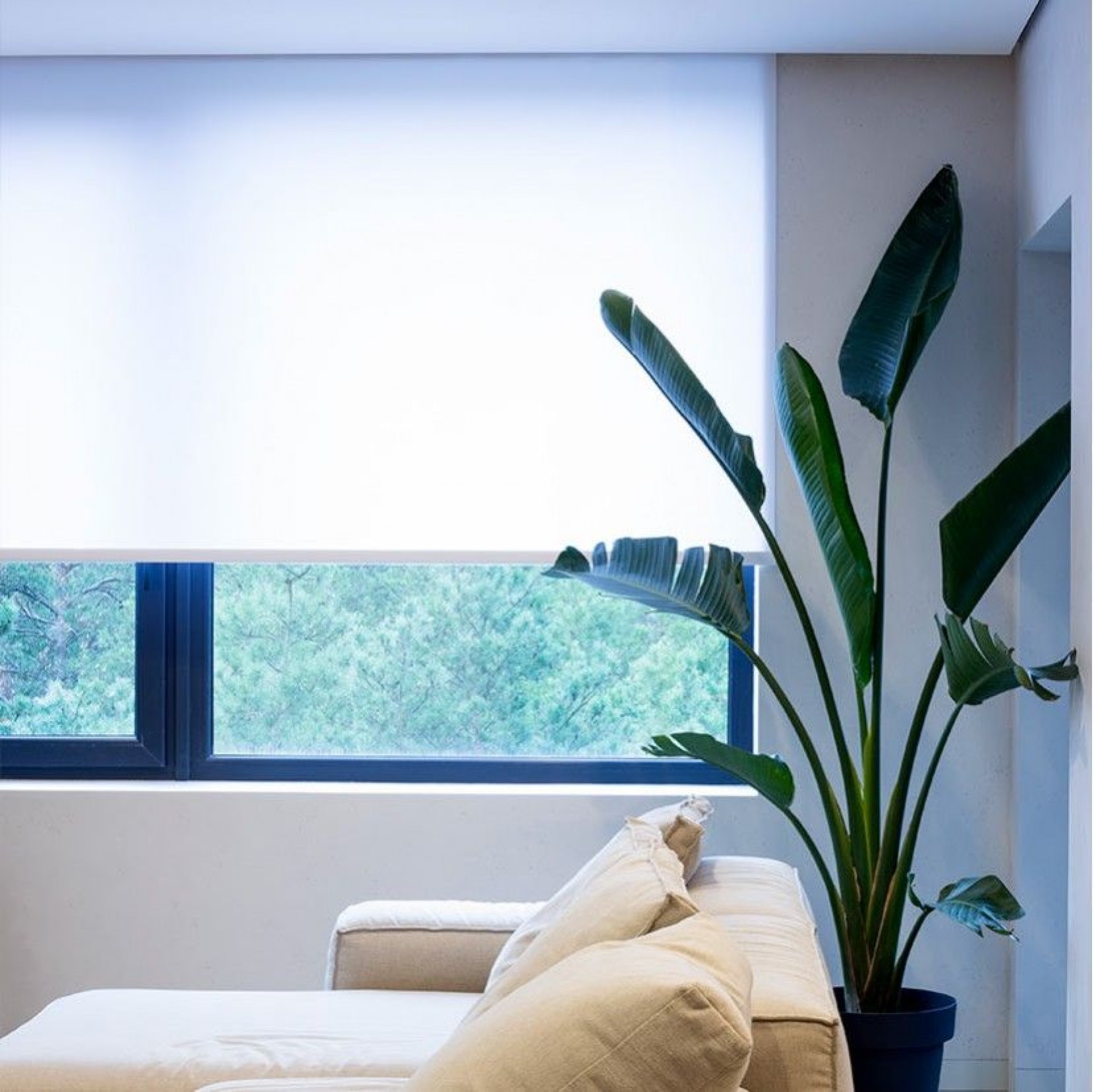What are blinds with translucent fabrics? What are blinds with translucent fabrics?